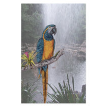 Blue Throated Macaw with Waterfall stationery