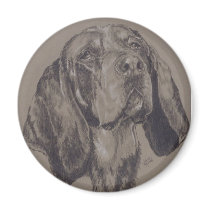Blue Tick Coonhound magnets