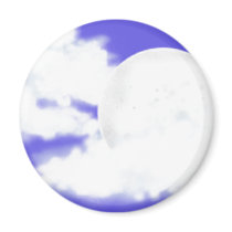 Blue Tile magnets