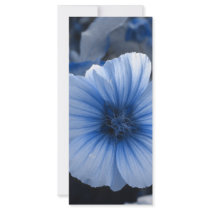 Blue Tinted Lavatera rack cards