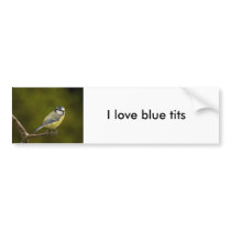 Blue Tit  3 Bumper Sticker