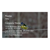 Blue Tit On Clothesline business cards by lifesphere Blue Tit On Clothesline business cards