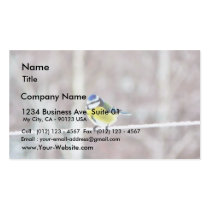 Blue Tit On Clothesline business cards