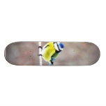 Blue Tit On Clothesline Skate Deck