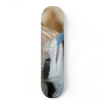 Blue Tongue Lizard Custom Skateboard