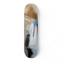 Blue Tongue Lizard Custom Skateboard