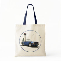 Blue TR6 bags