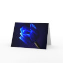 Blue tulip cards by JuliaGoss Blue tulip cards