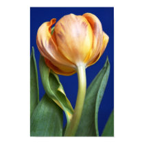 blue tulip print
