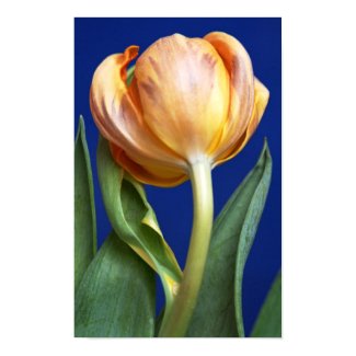 blue tulip print print