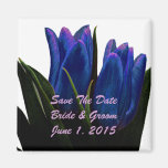Blue Tulips Save The Date Magnet