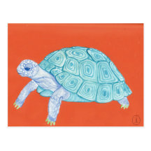 Blue Turtle Postcard