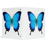 Blue Ulysses Butterfly Avery Binder