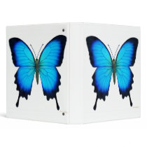 Blue Ulysses Butterfly Avery Binder
