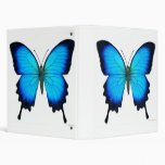 Blue Ulysses Butterfly Avery Binder