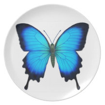 Blue Ulysses Butterfly Plate