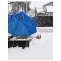 Blue Umbrella flyers