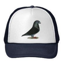Blue Velvet Show Racer Mesh Hat