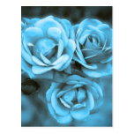 Blue Vintage Roses Postcards