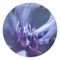 Blue Violet Wedding Envelope Seal Sticker by naturalilly Blue Violet Wedding Envelope Seal Sticker