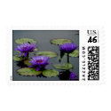 Blue Water Lilies Postage postage