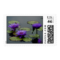 Blue Water Lilies Postage postage