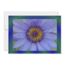 Blue Water Lily Cards invitations