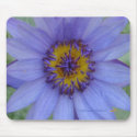 Blue Water Lily Mousepad mousepad