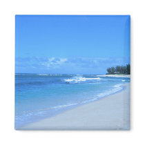 Blue Waters Magnet