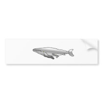 BLUE_WHALE MOTHER & BABY BUMPER STICKER