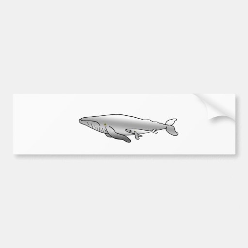 BLUE_WHALE MOTHER & BABY BUMPER STICKER