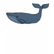 Blue Whale shirt
