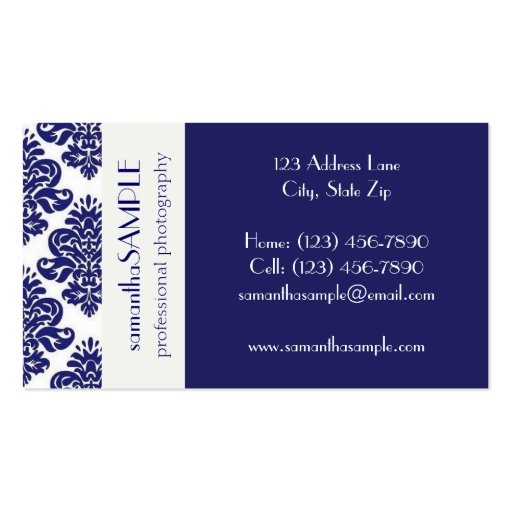Blue & White Delight Business Cards (front side)