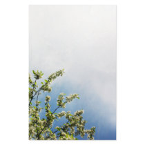 Blue & White Spring Blossoms Stationery