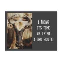 Blue Wildebeest / gnu funny humoros cards Post Cards