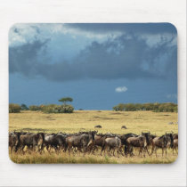 Blue Wildebeest migration Masai Mara mousepads