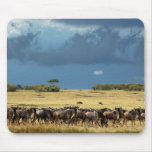 Blue Wildebeest migration Masai Mara mousepads