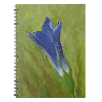Blue Wildflower Journal notebooks