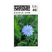 Blue Wildflower Postage Stamp by mulberry1 Blue Wildflower Postage Stamp