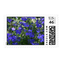 Blue Wildflowers US Postage Stamp