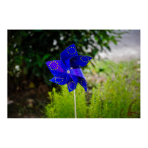 Blue windmill flower poster