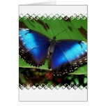 Blue Wing Butterfly Greeting Card