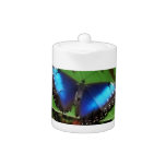 Blue Wing Butterfly Teapot