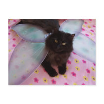 blue wing fairy postcard by KatAnnette blue wing fairy postcard