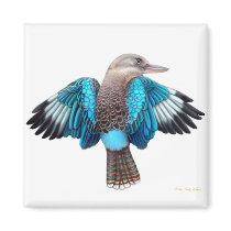 Blue Winged Kookaburra Square Magnet