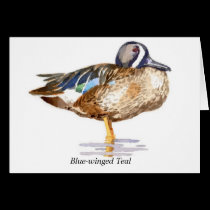 Blue-winged Teal cards
