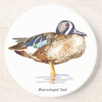 Blue-winged Teal coaster coasters