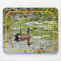 Blue Winged Teal Mousepads
