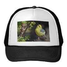 Blue-Winged Warbler Ball Cap Mesh Hats