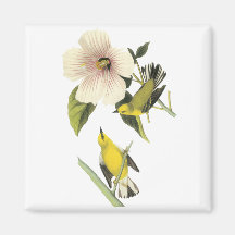 Blue-winged Warbler John Audubon Fridge Magnets